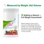 Active Green Pro® - Energy & Stamina Powder, Blend of Adaptogenic Herbs, Cordyceps, Maca & Vegetables, Plant-Based Formula, No Fillers, No Sugar Added - 40 Servings