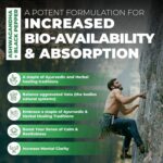 Ashwagandha Supplement Capsules | High Potency 4:1 Concentrated Root Extract with Black Pepper to Boost Absorption | 5200mg per serving (2600mg/Capsule x2) | Supports Resistance...