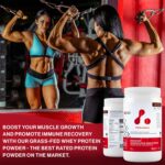 ATP LAB - Grass Fed Whey Protein Powder 900g (Chocolate Flavour) - Whey Protein Powder - Whey Protein Concentrate - Immune Recovery, Muscle Growth