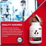 ATP LAB - Grass Fed Whey Protein Powder 900g (Chocolate Flavour) - Whey Protein Powder - Whey Protein Concentrate - Immune Recovery, Muscle Growth