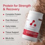 ATP LAB - ISO 900g Powder (Chocolate Flavour) 30-Servings - Whey Isolate Protein Powder - ISO Protein Powder Whey Isolate - Boost Performance
