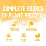 BioSteel Plant-Based Protein Powder, Banana Cream Pie, 14 Servings, Vegan Protein Shake Mix with 23g Complete Protein, Dairy Free, Sugar Free