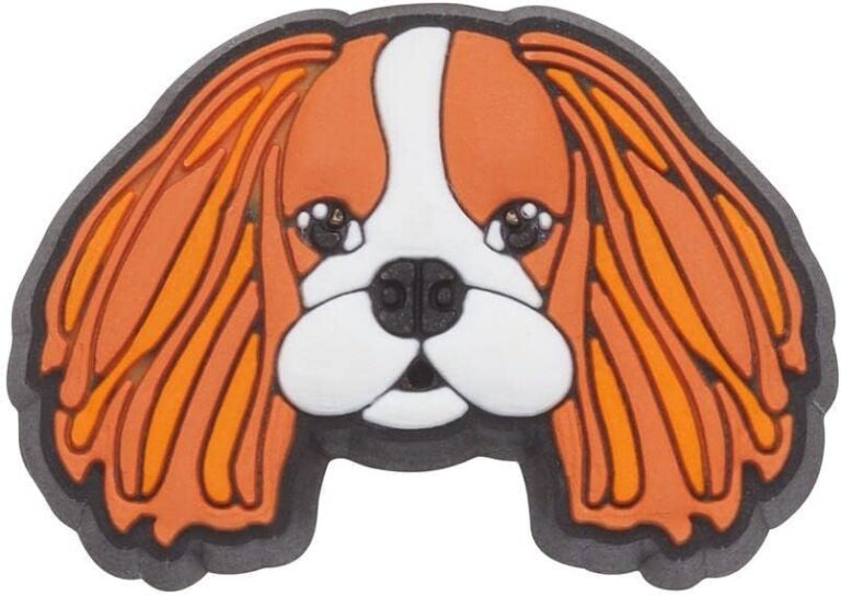 Crocs Jibbitz Shoe Charms, Multicolor