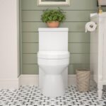DeerValley Compact One Piece Toilet, 12'' Rough-in Small Toilet, 1.1/1.6 GPF and MAP 800g Elongated Dual Flush Toilet with Comfort Chair Seat DV-1F52812 (White)