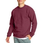 Hanes Men's EcoSmart Fleece Sweatshirt