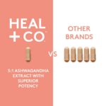 HEAL + CO. Ashwagandha – High Potency 5:1 Extract with 5,000 mg per Serving – Adaptogen for Stress Relief & Energy Support – 120 Vegan Capsules