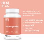 HEAL + CO. Ashwagandha – High Potency 5:1 Extract with 5,000 mg per Serving – Adaptogen for Stress Relief & Energy Support – 120 Vegan Capsules