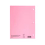 Hilroy Stitched Exercise Book, 3-Hole Punched, 4-Pack, 40 Pages/20 Sheets, Assorted Colour Covers (12102)