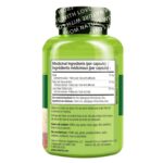 NATURELO Mushroom Supplement – Brain & Immune Health Blend with Lion’s Mane, Reishi, Turkey Tail – 90 Vegan Friendly Capsules