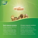 Nature's Way Ginger Root – Traditional Digestive Support Supplement – Helps Relieve Digestive Upset – Gluten Free, Vegetarian, Non-GMO – 100 Capsules