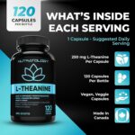 Nutratology L-Theanine 250MG Capsules | Canadian-Made | For Stress Management | Promotes Relaxation & Calmness Without Drowsiness - L-Theanine Supplement for Stress Relief | 120...