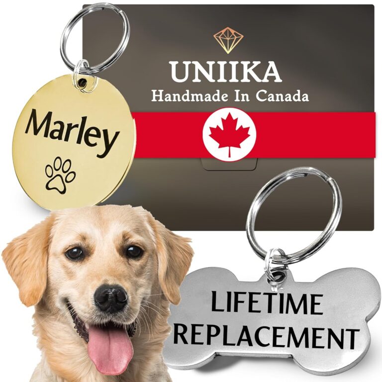 Personalized Custom Dog Tags Engraved Pet Canada (Lifetime Replacements) - Medaille Pour Chien et Chat Personnalisée, Deep Engraved on Both Sides (Small, Silver)
