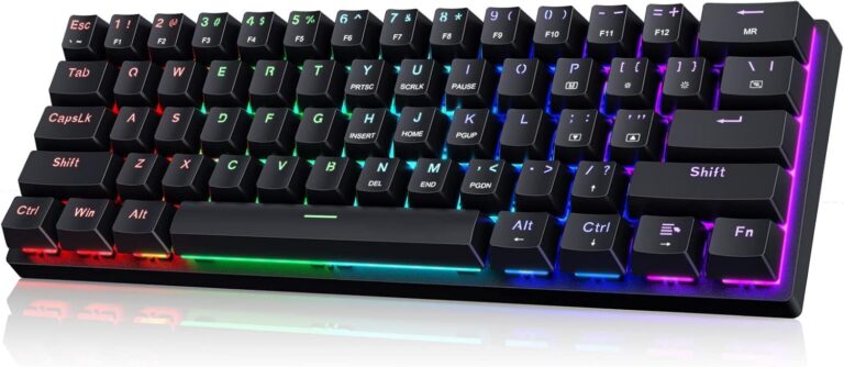 Portable 60% Mechanical Gaming Keyboard,60 Percent Wired Gamer Keyboard with Blue Switches,LED Customization Backlit,61 Keys Ultra-Compact Mini Office Keyboard for...
