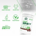 PVL Sport Whey – Clean 100% Whey Protein Powder Protein Shake (2.27 kg, Rich Chocolate)