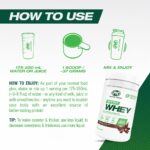 PVL Sport Whey – Clean 100% Whey Protein Powder Protein Shake (2.27 kg, Rich Chocolate)