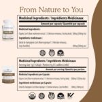 Real Mushrooms Lions Mane Capsules - Organic Mushroom Extract With Immunomodulating Properties Antioxidants Vegan Brain Supplement, 120