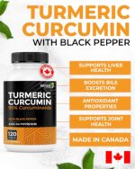 RENEW ACTIVES Turmeric Curcumin – Ultra Potent 95% Curcuminoids with BioPerine Black Pepper for Maximum Absorption – Supports Joint Health, Mobility, Digestion & Liver – Made in...
