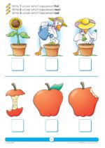 School Zone - Thinking Skills Workbook - 64 Pages, Ages 3 to 5, Preschool to Kindergarten, Problem-Solving, Logic & Reasoning Puzzles, and More (School Zone Get Ready! Book Series)