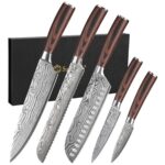Sunnecko Kitchen Knife Set 5 Piece Chef Knife Set Professional High Carbon Stainless Steel, Sharp Kitchen Knives with Wooden Handle
