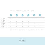 Timex Men's Easy Reader 35mm Date Watch