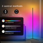 Tyute Floor Lamp (RGB-2PCS)