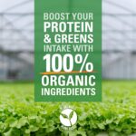 Vegan Pure Organic Protein & Greens (Vanilla)