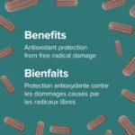 Webber Naturals Blueberry 500 mg, 120 Capsules, Antioxidant Support