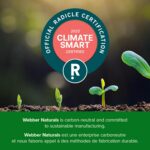 Webber Naturals Vitamin B100 Complex, Timed Release, 140 Tablets, Supports Energy Production and Metabolism, Vegan