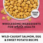 Beyond Grain Free Natural Dry Cat Food, Indoor Cat Wild-Caught Salmon & Egg - 2.26 kg Bag