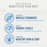 Caledon Farms Beef Tendersticks 3.9oz/110G Dog Treats