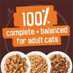 Friskies Gravy Pleasers Wet Cat Food, Chicken Variety Pack 3 Flavours - 156 g Can (24 Pack)