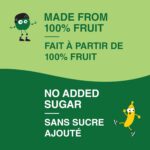 GoGo squeeZ Fruit Sauce Snack Pouches Variety Pack - Apple Apple, Apple Banana. 100% Real Fruit Puree, No Sugar Added, No Preservatives, 12 x 90g Squeezable Fruit Snacks