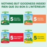 GoGo squeeZ Fruit Sauce Variety Pack, Apple, Strawberry, Peach, Banana, No Sugar Added. 90g per pouch, Pack of 20