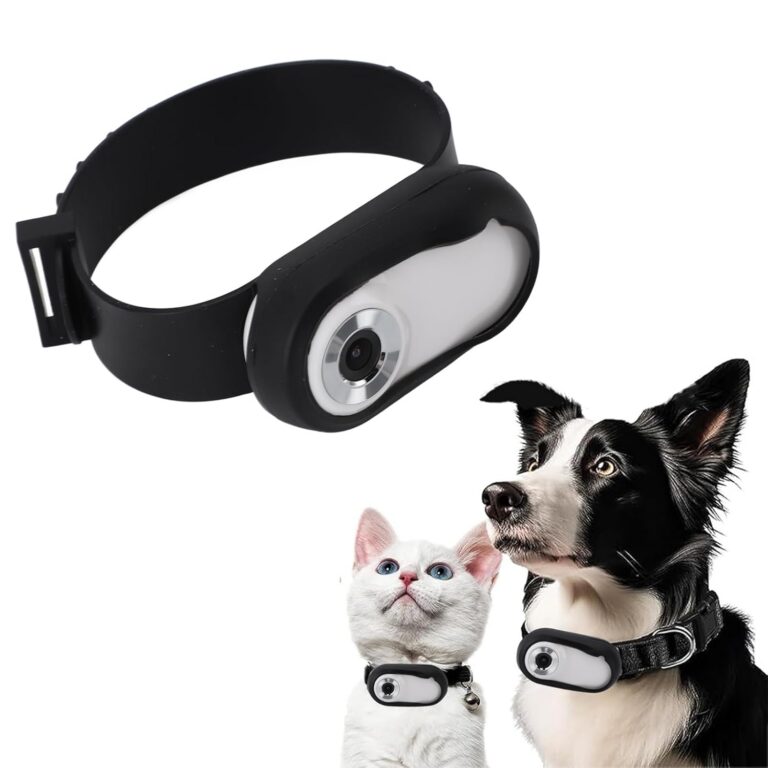 Pet Collar Camera with Phone APP, Adjustable Pet Sport Camera with 170° Wide Angle, USB Rechargeable, HD 1080P Mini Body Camera for Cat Dog Recording