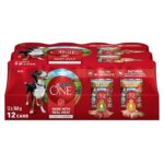 Purina ONE Tender Cuts Wet Dog Food, in Gravy Variety Pack 2 Flavours - 368 g Can (12 Pack)