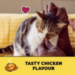 TEMPTATIONS Cat Treats, Tasty Chicken Flavour, 454g Tub