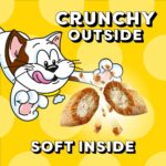 TEMPTATIONS Cat Treats, Tasty Chicken Flavour, 454g Tub