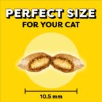 TEMPTATIONS Cat Treats, Tasty Chicken Flavour, 454g Tub