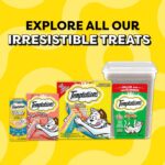 TEMPTATIONS Cat Treats, Tasty Chicken Flavour, 454g Tub